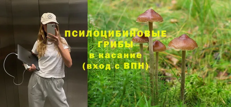 Галлюциногенные грибы Magic Shrooms  Верхняя Тура 